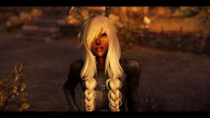 Пак компаньонов - Spunky Breton's Companions для Skyrim SE