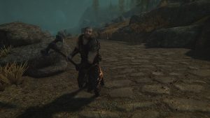Мод Full Random NPC Pack для Skyrim SE (Ru)